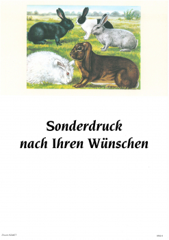 Kaninchenplakat mit Sonderdruck A3