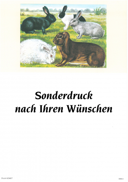 Kaninchenplakat mit Sonderdruck A3